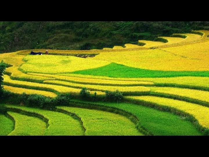 Phụ nữ tuổi này dễ có