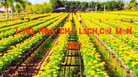 Sự Bùng Nổ Của Video Ngắn và Trí Tuệ Nhân Tạo: Vai Trò Thiết Yếu Của Đào Tạo Kỹ Năng Sáng Tạo Nội Dung_Facebook Reels video ngắn