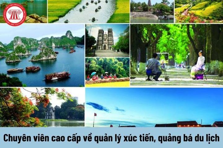 Triển lãm Dự án và Thu hút Khách Hàng Mới với Hotspot Matrix